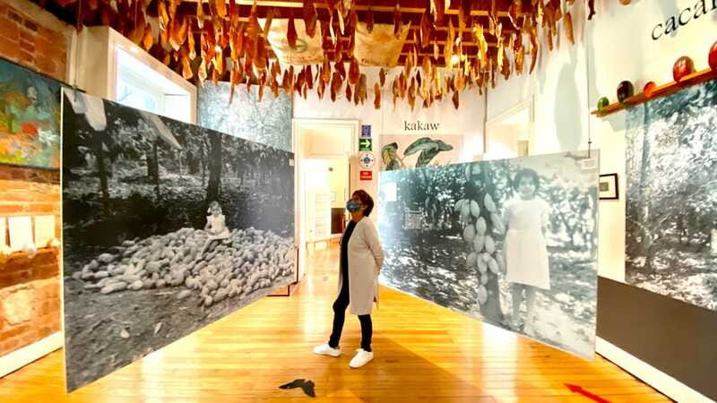Mexico City: MUCHO Museum of Chocolate Entrance Ticket - Practical details that shape the visit