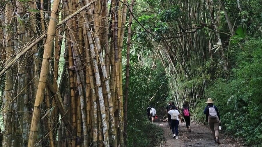 Minca: Hidden Waterfall + Coffee and Cocoa Workshop - Making chocolate at the Minca Cocoa Museum