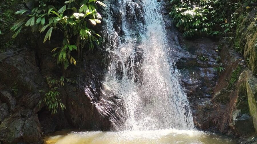 Minca: Hidden Waterfall + Coffee and Cocoa Workshop - Is $78 a fair price?