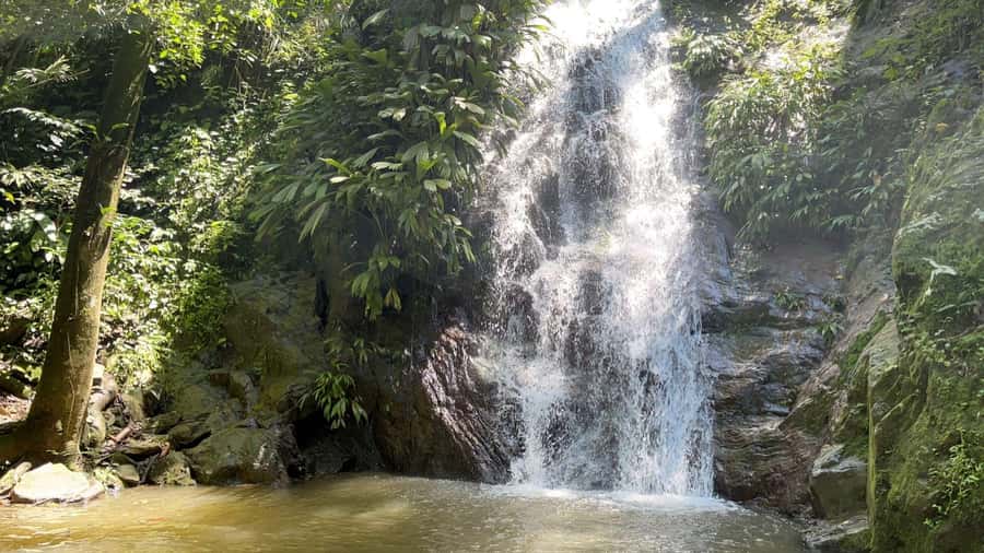 Minca: Hidden Waterfall + Coffee and Cocoa Workshop - The one-hour ride from Santa Marta to Minca