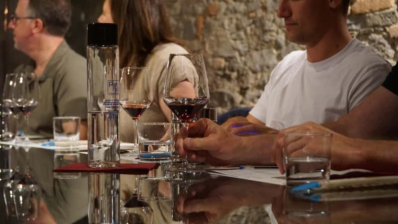 Monforte d'Alba: Wine and Chocolate Tasting Experience - Starting among the vines in Monforte d’Alba