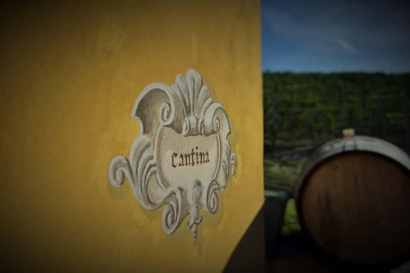Monforte d'Alba: Wine and Chocolate Tasting Experience - The museum puts the bottle in context