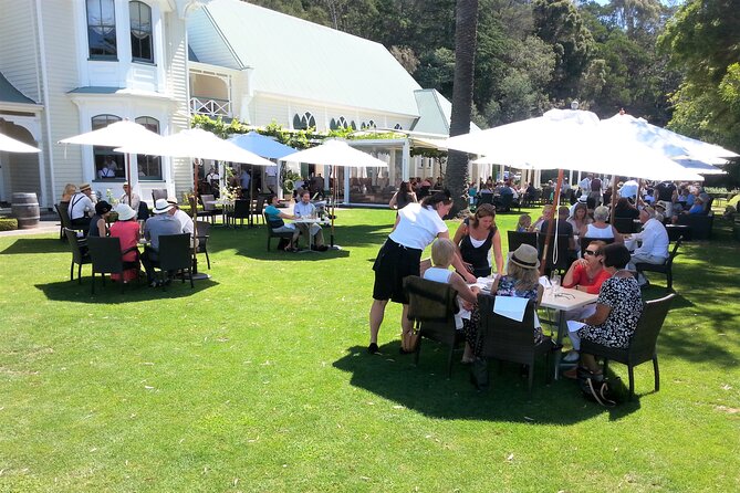 Napier: Afternoon Wine Tasting + visit Silky Oaks Chocolates - Trinity Hill adds cheese and a slower tasting