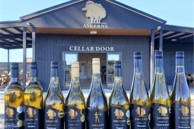 Napier: Afternoon Wine Tasting + visit Silky Oaks Chocolates - Ross makes the van time count