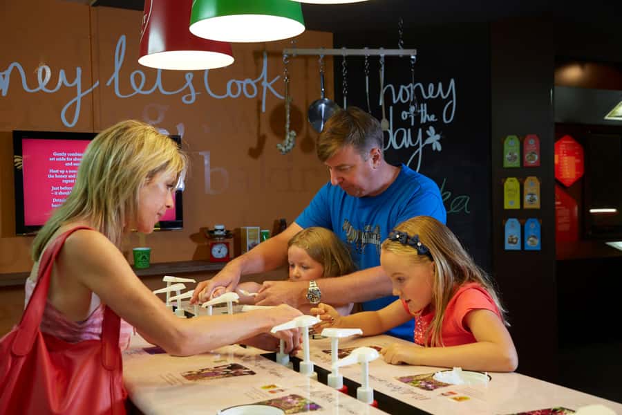 Napier: Taste Hawke's Bay - A sweet treat food tour - Silky Oak Chocolates and 3,000 years of chocolate