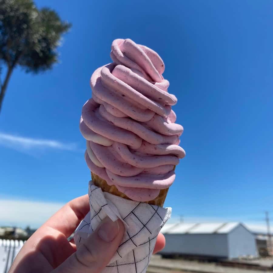Napier: Taste Hawke's Bay - A sweet treat food tour - Birdwoods Gallery brings art into the route