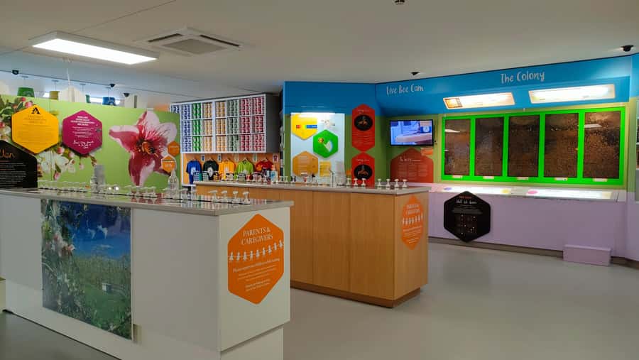 Napier: Taste Hawke's Bay - A sweet treat food tour - The guide and the value of local context