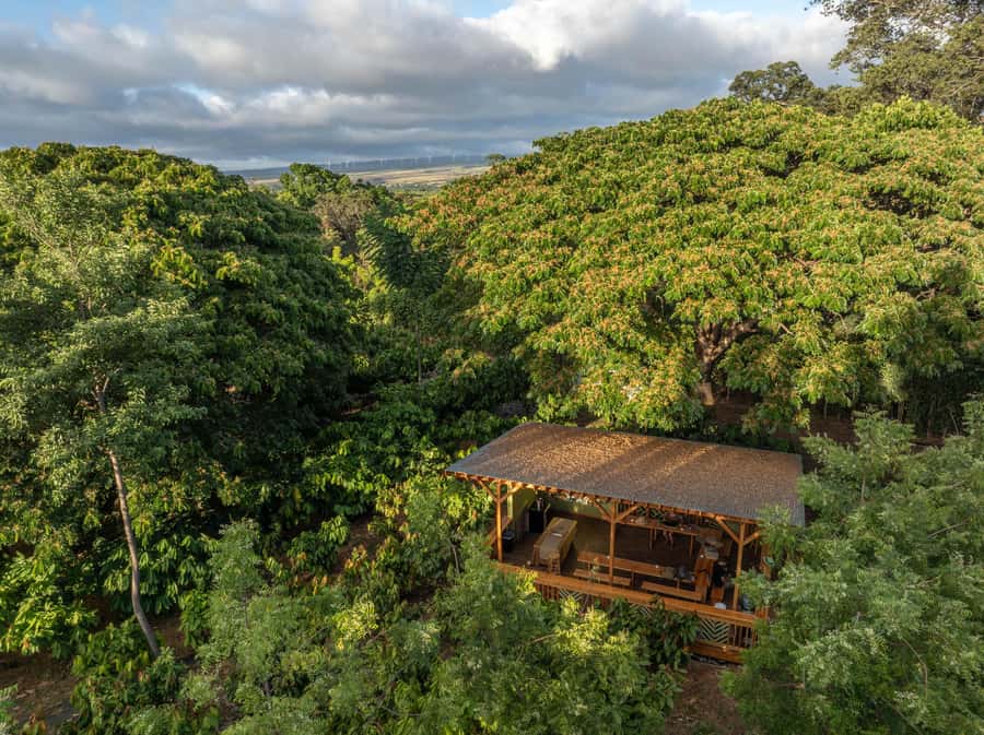 Oahu: Chocolate Farm Tour with Tasting - Kamananui Cacao - Key points to know before booking