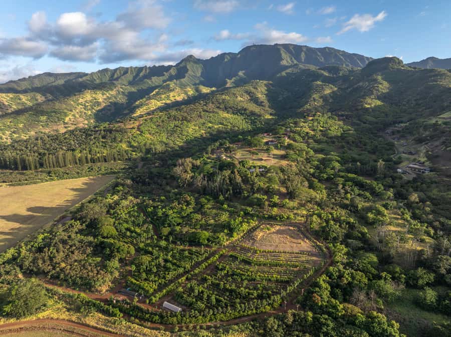 Oahu: Chocolate Farm Tour with Tasting - Kamananui Cacao - Why this North Shore cacao tour is different