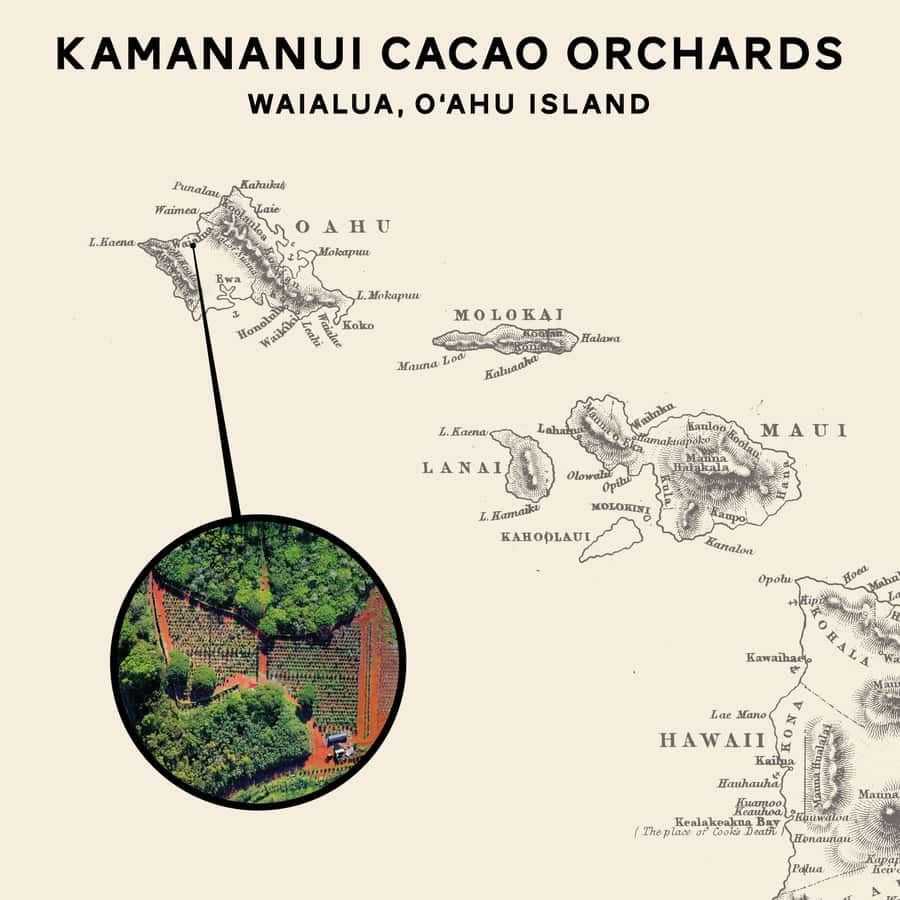 Oahu: Chocolate Farm Tour with Tasting - Kamananui Cacao - Walking through the working cacao orchard