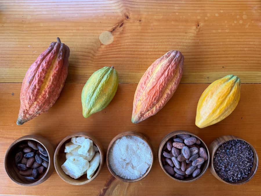 Oahu: Chocolate Farm Tour with Tasting - Kamananui Cacao - From pod to seed, drying, and processing