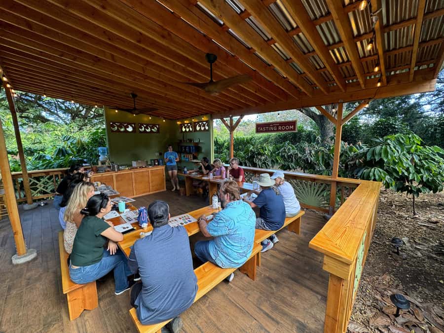 Oahu: Chocolate Farm Tour with Tasting - Kamananui Cacao - The chocolate tasting at the end