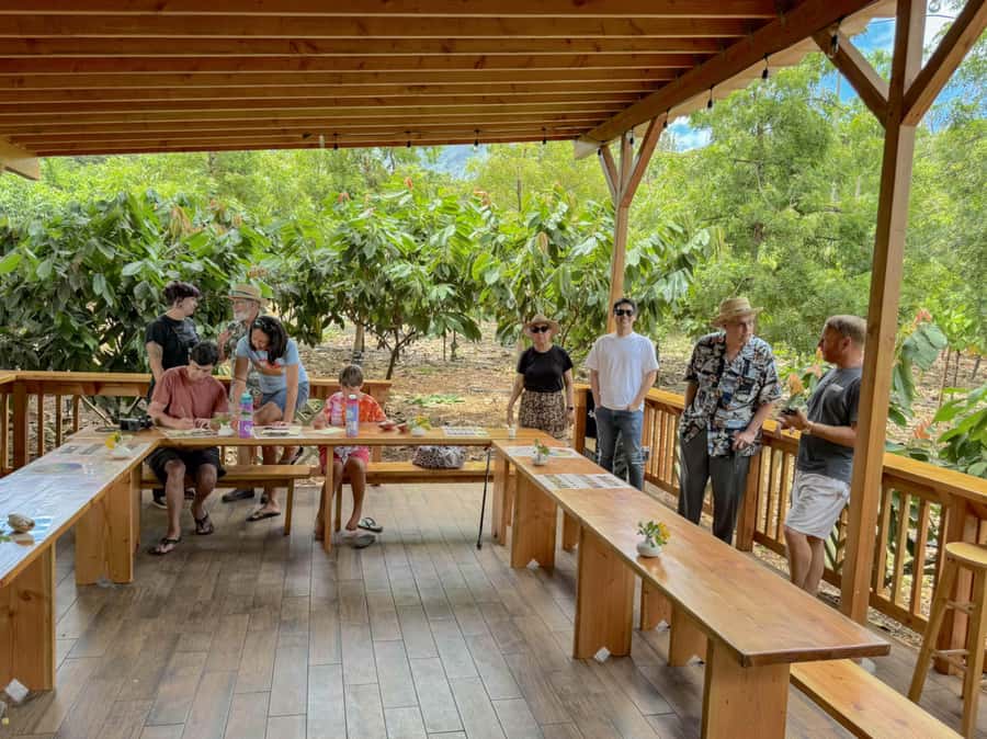 Oahu: Chocolate Farm Tour with Tasting - Kamananui Cacao - What the $93 price includes
