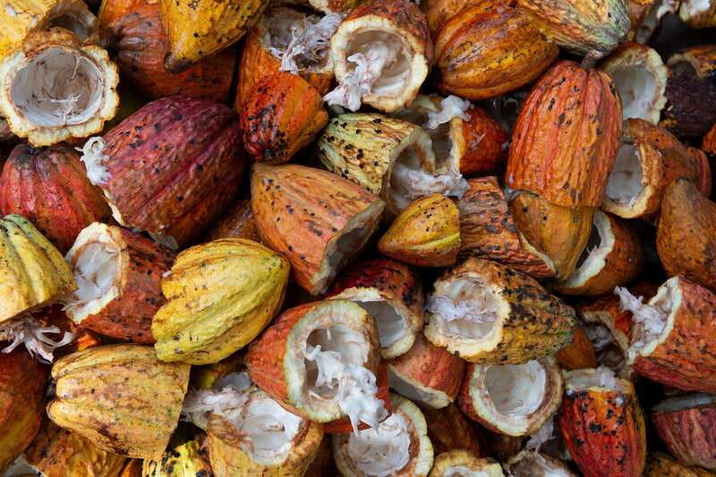 Oaxaca: Chocolate and Ancestral Drinks Tour - What happens during the one-hour chocolate class