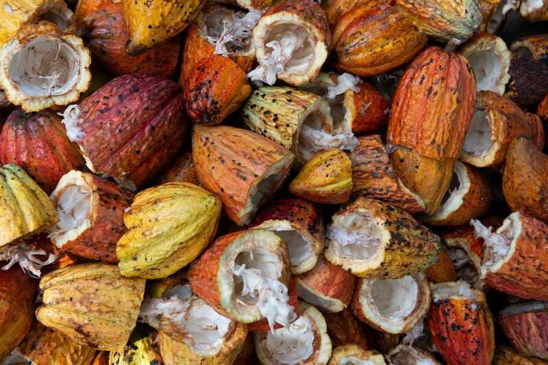 Oaxaca: Chocolate and Ancestral Drinks Tour - Is $46 a fair price for one hour?