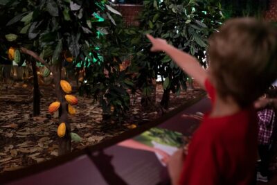 Chocolate Museum – Chocolate’s Delicious Journey + Tasting