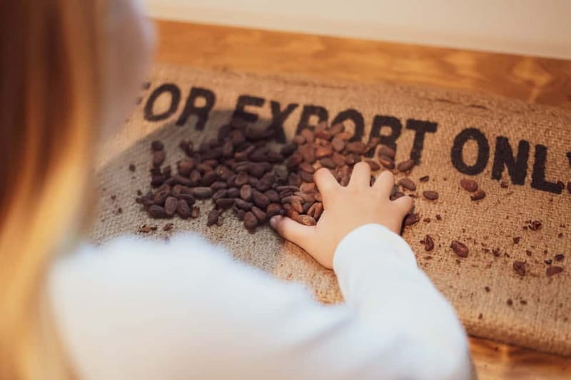 Porto: Chocolate Museum - Unwrap the Secrets of Chocolate - Key points to know before you go