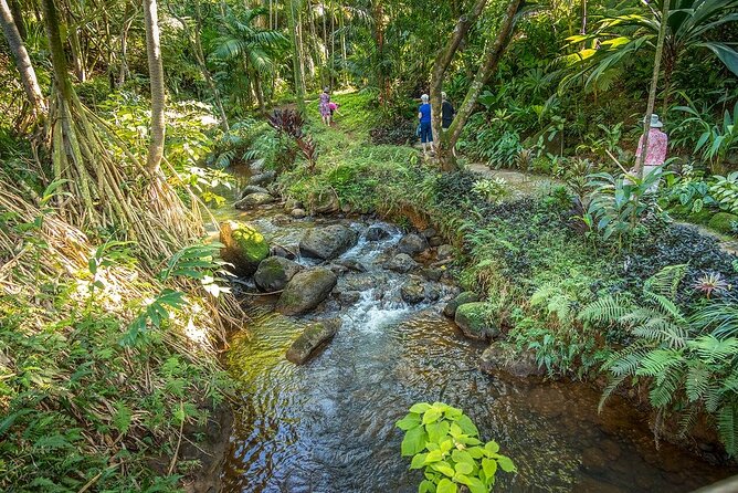 Princeville Botanical Gardens Tour and Chocolate Tasting Ticket - Fruit, honey, and the small cacao grove