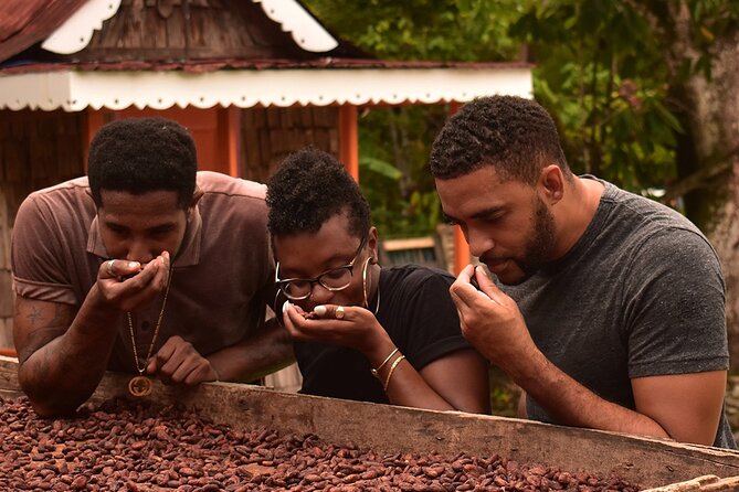Private Chocolate Making Class - Key points to know before you book