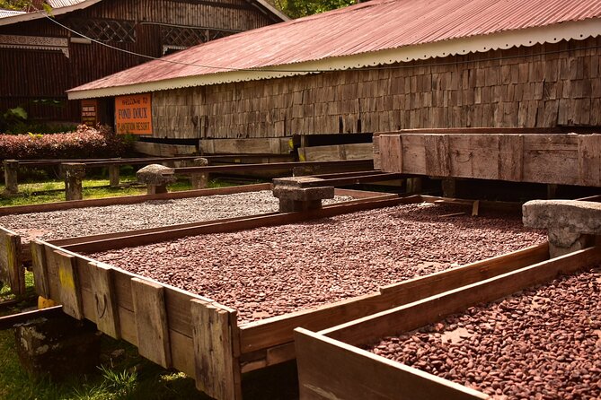 Private Chocolate Making Class - What past comments tell you about the experience