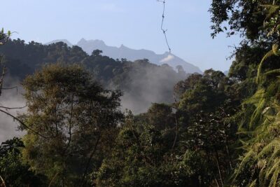 Private Full-Day Mindo Cloud Forest,Butterfly Farm, Chocolate Tour bird watching