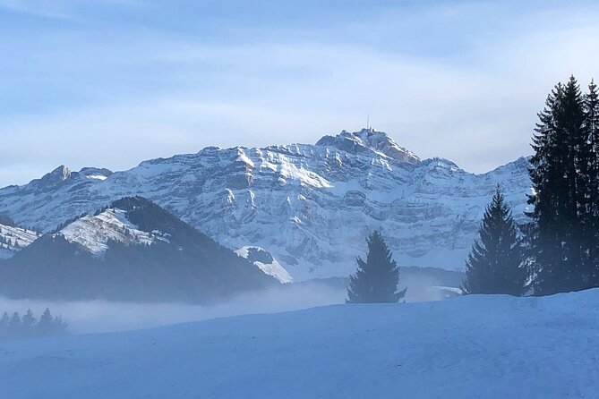 Private Guided Swiss Alps Day Trip from Zurich with Hotel Pick-Up - Schwägalp and the ride toward Säntis
