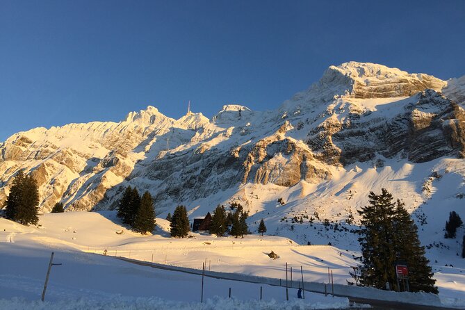Private Guided Swiss Alps Day Trip from Zurich with Hotel Pick-Up - Price and value at $369.13 per person