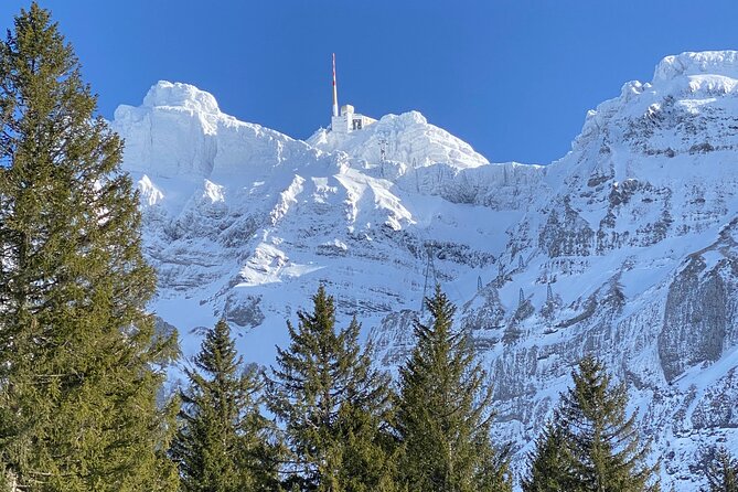 Private Guided Swiss Alps Day Trip from Zurich with Hotel Pick-Up - Appenzeller cheese at Stein