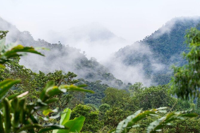 PRIVATE Mindo Cloud Forest tour - Key points at a glance