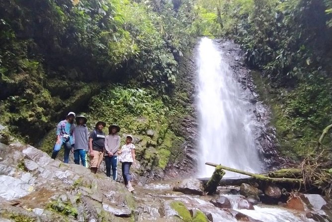 PRIVATE Mindo Cloud Forest tour - What the $130 price really covers