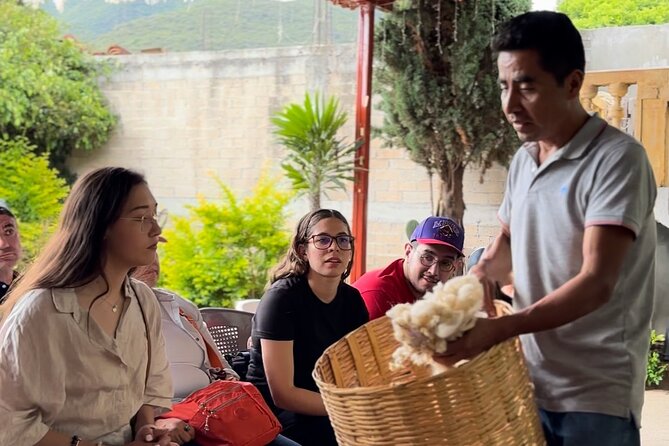 Private Monte Alban VIP : Mezcal and Zapoteco Art - Teotitlán del Valle and the hands behind the craft