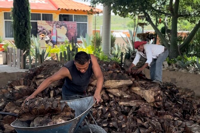 Private Monte Alban VIP : Mezcal and Zapoteco Art - Returning to the Zócalo or your hotel