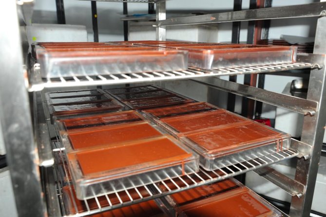 Private Tour to Aelan Chocolate Factory in Port Vila - A small factory with a big local connection