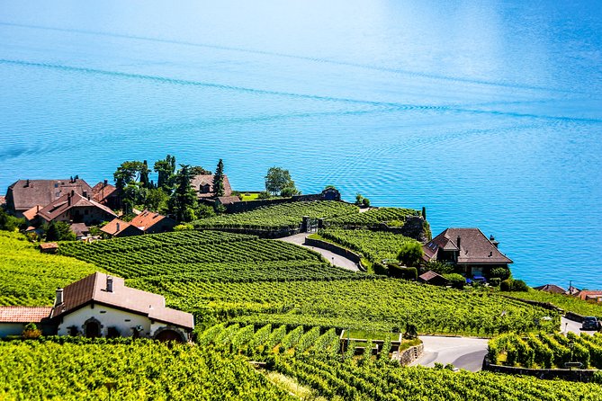 Private Tour to Gruyères, Chocolate & Cheese Factory from Geneva - Lunch, fondue, and the cost of free time