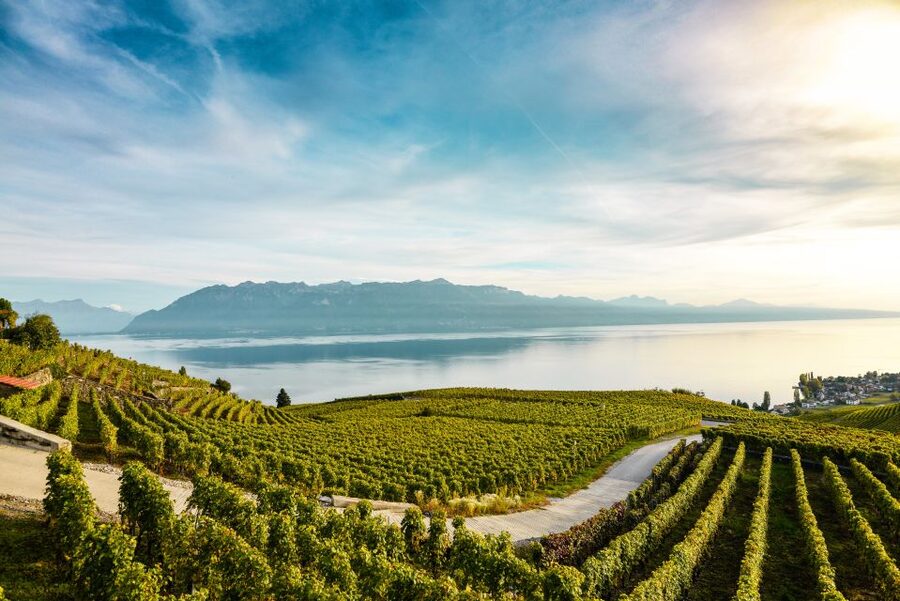 Private Tour to Gruyeres with Cheese and Chocolate Factory - From Geneva to Lavaux’s vineyard terraces