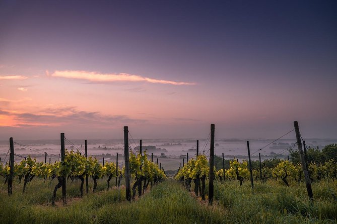 Private Wine and Chocolate Tour in Niagara Wine Region - Key points to know before booking