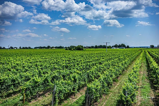 Private Wine and Chocolate Tour in Niagara Wine Region - Wine along the Lake and Escarpment