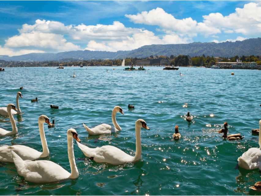 Private Zurich City Tour with Cruise and Lindt Chocolate - What the private vehicle adds