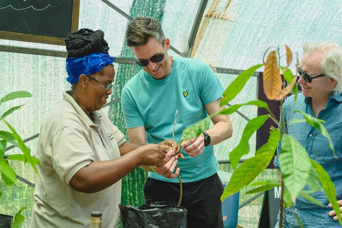 Project Chocolat Tree to Bar Tour at Hotel Chocolat Saint Lucia - What to bring and how to plan the day