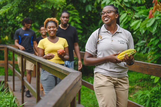 Project Chocolat Tree to Bar Tour at Hotel Chocolat Saint Lucia - Is Project Chocolat worth booking?
