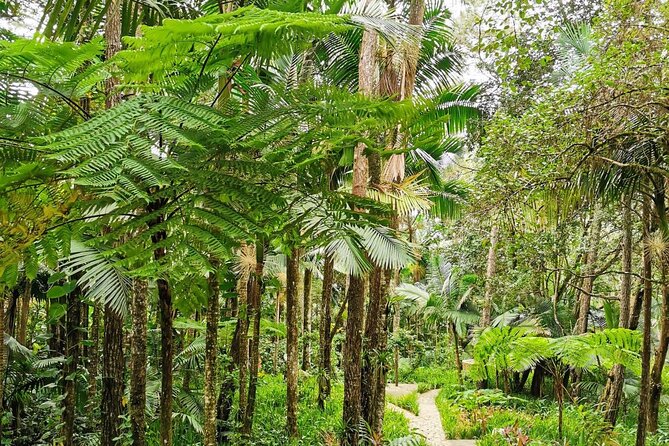 Puerto Plata City Tour with the Mount Isabel, Rum & Chocolate - Mount Isabel gives the day its best view