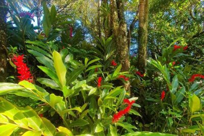 Puerto Plata City Tour with the Mount Isabel, Rum & Chocolate