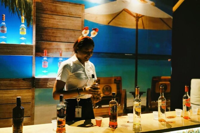 Puerto Plata City Tour with the Mount Isabel, Rum & Chocolate - Fort San Felipe puts the harbor story in context