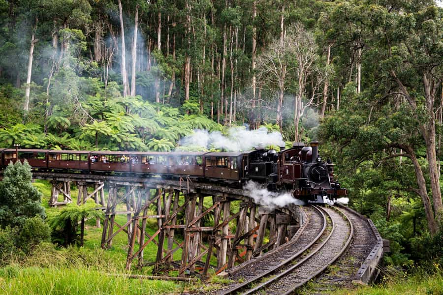 Puffing Billy, Healesville Sanctuary & Chocolatier - Why this Melbourne day trip works