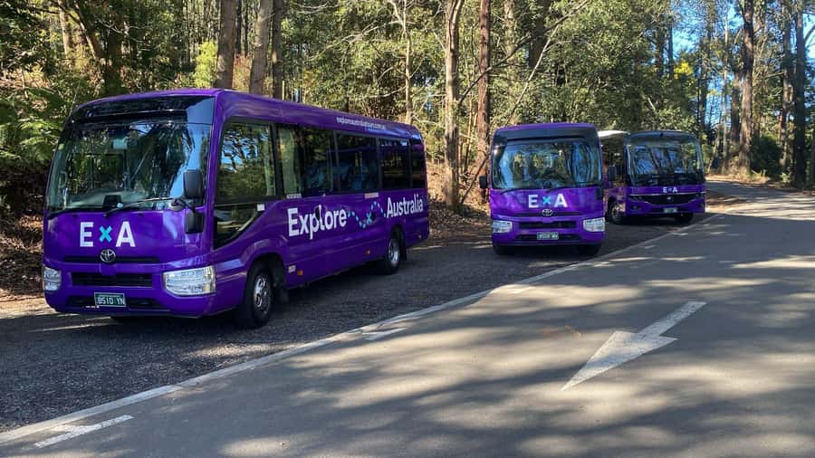 Puffing Billy, Healesville Sanctuary & Chocolatier - Transport, timing, and the value of the day