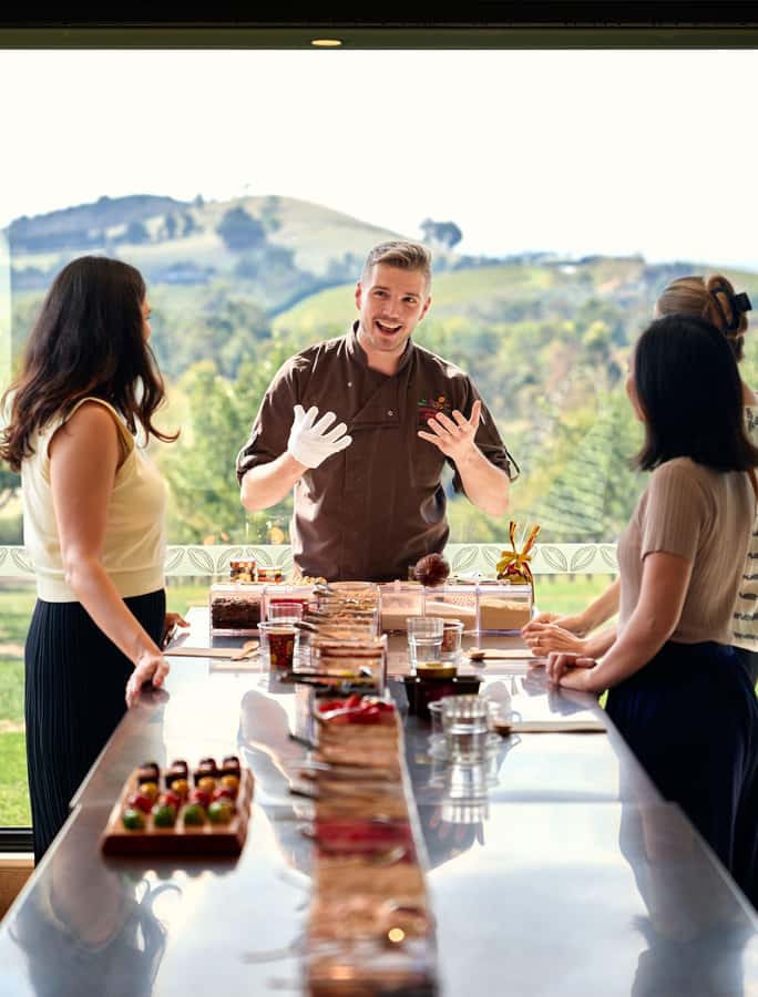Puffing Billy, Healesville Sanctuary & Chocolatier - Who should book this tour?