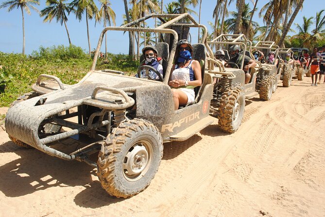 Punta cana Boogie into the Jungle with Coffee and Chocolate Taste - Coffee, cocoa, tobacco, and local farming