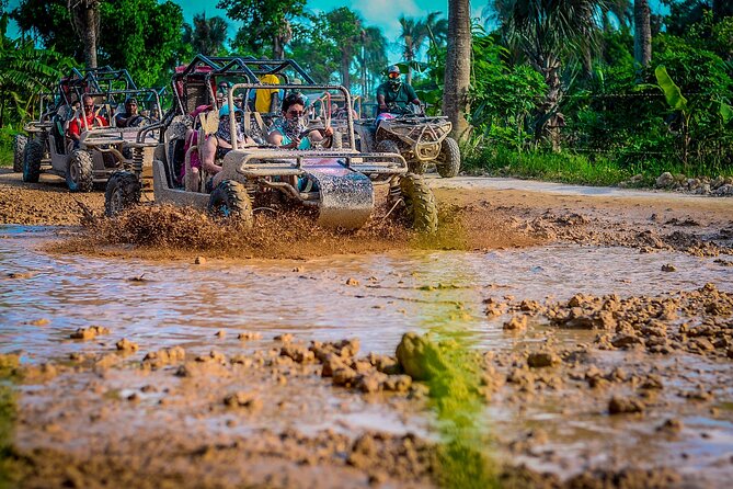 Punta cana Boogie into the Jungle with Coffee and Chocolate Taste - Starting with the boogie and rural tracks