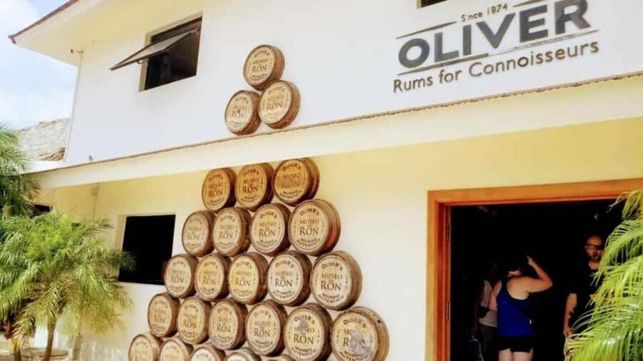Punta Cana: Don Lucas Cigar, Chocolate, & Rum Tour - Watching cigars take shape by hand