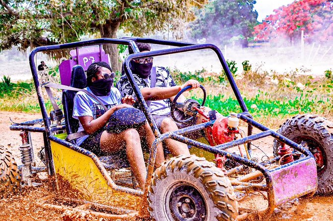 Road Off Half Day Buggy with Chocolate and Coffee Tasting - Why this three-hour tour works